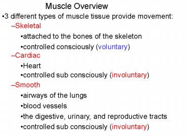 Muscle Overview