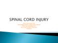 SPINAL CORD INJURY PowerPoint PPT Presentation
