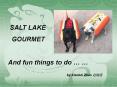 SALT LAKE PowerPoint PPT Presentation