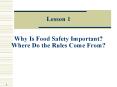 Lesson 1  Why Is Food Safety Important? Where Do the Rules Come From? PowerPoint PPT Presentation