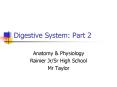 Digestive System: Part 2 PowerPoint PPT Presentation