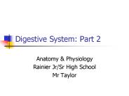 Digestive System: Part 2