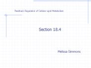 Feedback Regulation of Cellular Lipid Metabolism