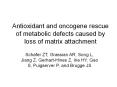 Antioxidant and oncogene rescue of metabolic defects caused by loss of matrix attachment PowerPoint PPT Presentation