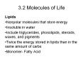 3.2 Molecules of Life PowerPoint PPT Presentation