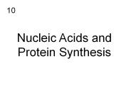 Nucleic Acids and Protein Synthesis