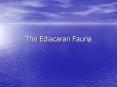 The Ediacaran Fauna PowerPoint PPT Presentation