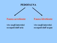 Nessun titolo diapositiva