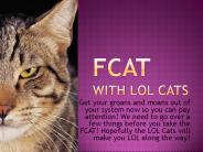 FCAT With LOL CATS