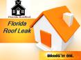 Roofing Repair Orlando PowerPoint PPT Presentation