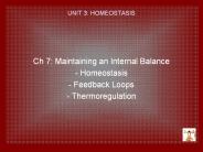 UNIT%203:%20HOMEOSTASIS