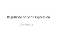 Regulation of Gene Expression PowerPoint PPT Presentation
