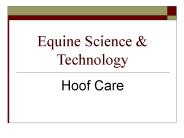 Equine Science