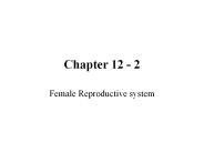Female%20Reproductive%20system