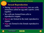 Sexual Reproduction