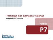Parenting and domestic violence
