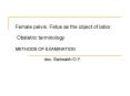 Female pelvis. Fetus as the object of labor. PowerPoint PPT Presentation