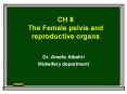 CH 8 The Female pelvis and reproductive organs PowerPoint PPT Presentation