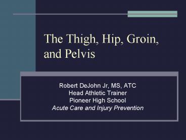 The Thigh, Hip, Groin, and Pelvis