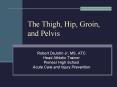 The Thigh, Hip, Groin, and Pelvis PowerPoint PPT Presentation