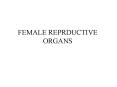 FEMALE REPRDUCTIVE ORGANS PowerPoint PPT Presentation