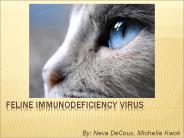 Feline Immunodeficiency Virus