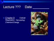Lecture ???Date _________