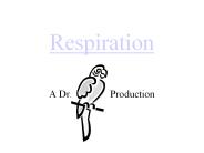 Respiration