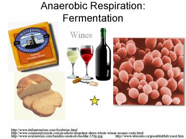 Anaerobic Respiration: Fermentation