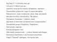 Big Bang 13.7-13.8 billion years ago Life arose 3.5 billion years ago Anaerobic versus aerobic bacteria, fermentation, respiration Photosynthetic prokaryotes, origin of oxygen atmosphere Endosymbiosis: origin of eukaryotes, plants, fungi, and PowerPoint PPT Presentation