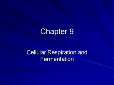 Cellular Respiration and Fermentation