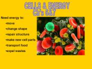 CELLS