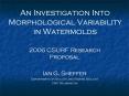 An Investigation Into Morphological Variability in Watermolds PowerPoint PPT Presentation