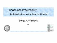 Chaos and Irreversibility: