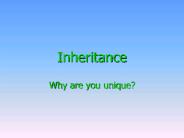 Inheritance