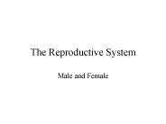 The Reproductive System