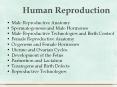 Human Reproduction PowerPoint PPT Presentation