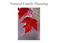 Natural Family Planning PowerPoint PPT Presentation