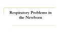 Respiratory Problems in the Newborn PowerPoint PPT Presentation