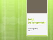 Fetal Development PowerPoint PPT Presentation