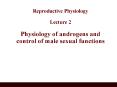 Reproductive Physiology  Lecture 2 Physiology of androgens and control of male sexual functions PowerPoint PPT Presentation