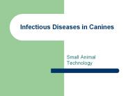 Infectious Diseases in Canines
