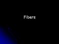 Fibers PowerPoint PPT Presentation