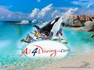 Similan Liveaboard