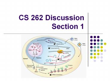 CS 262 Discussion Section 1
