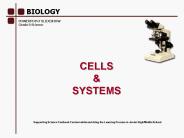 POWERPOINT SLIDESHOW