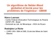 Un algorithme de Nelder-Mead globalis