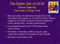 The Radio Jets of AGN Denise Gabuzda University College Cork PowerPoint PPT Presentation