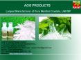 Pure Natural Menthol Crystals, Menthol Crystal USP/BP/IP PowerPoint PPT Presentation