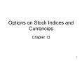 Options on Stock Indices and Currencies PowerPoint PPT Presentation